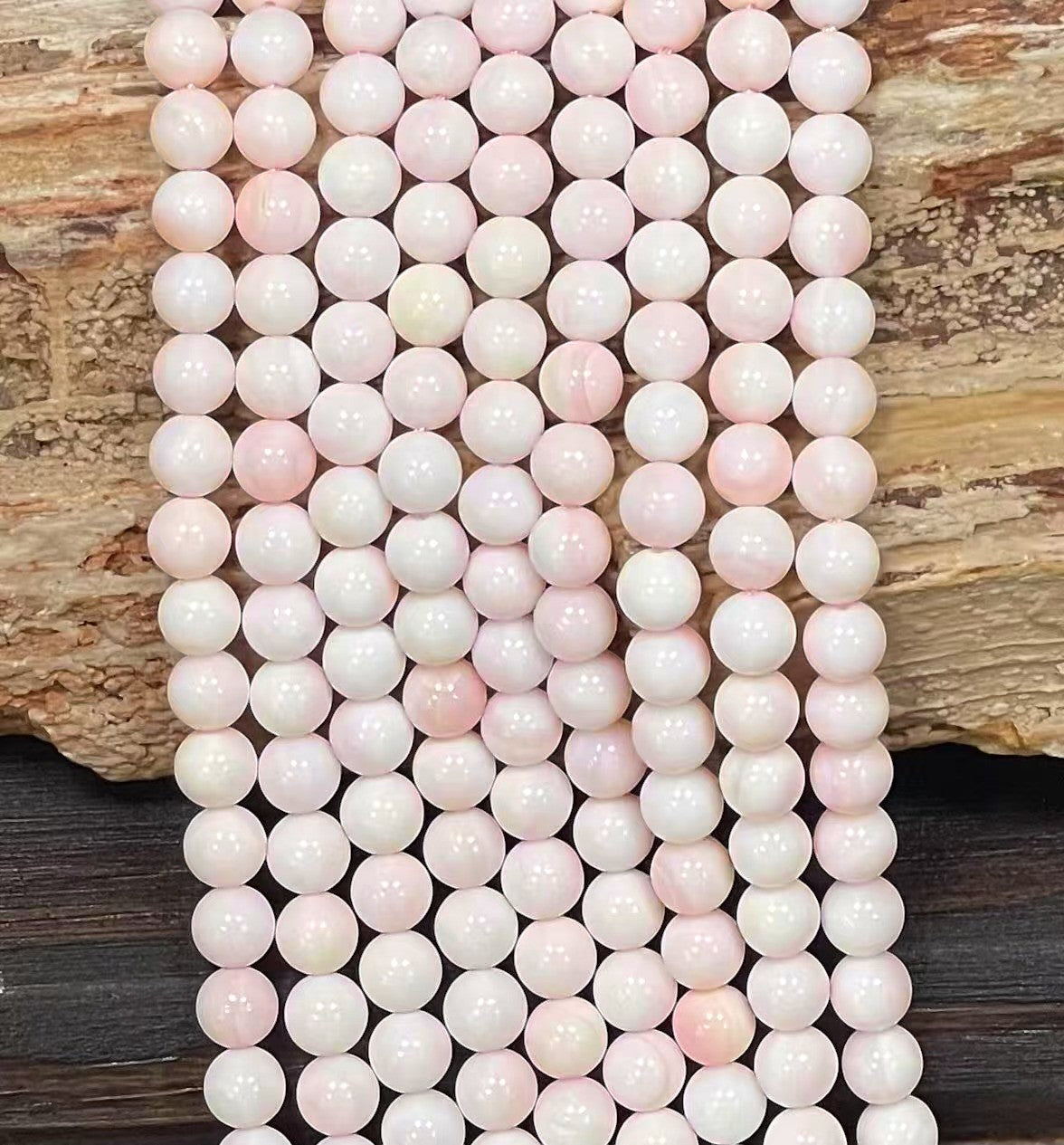 Queen Conch Shell A Grade Round 8mm