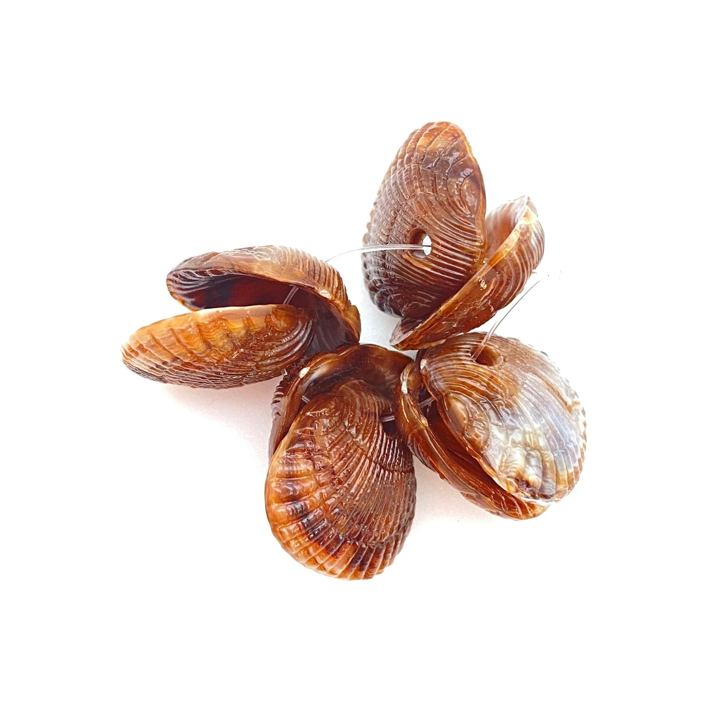Clam Shell Drop 18mm Brown Marble