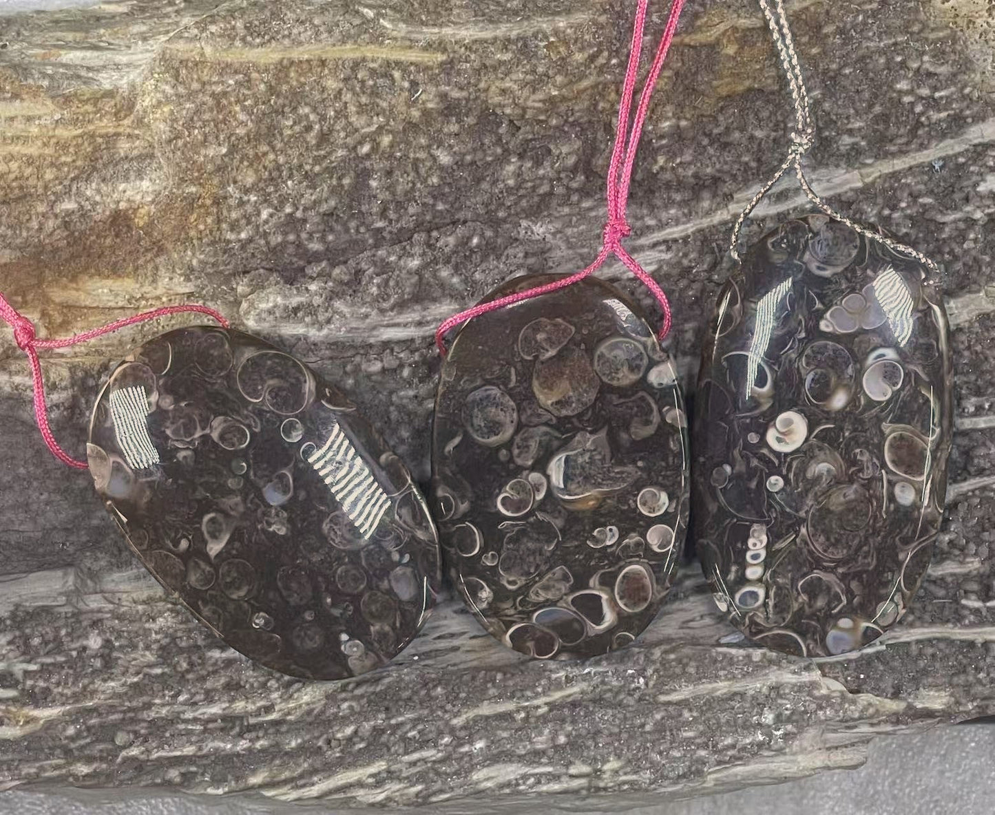 Turritella Fossil Agate, Oval Shape, Top Side Drilled, Pendant