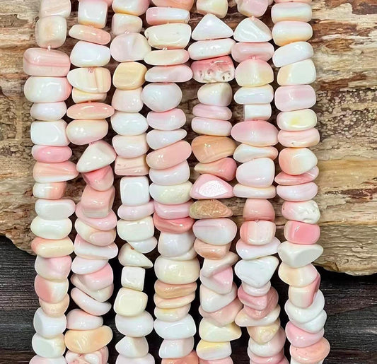 Queen Conch Shell Tumble Chips, Small Size/ Large Size