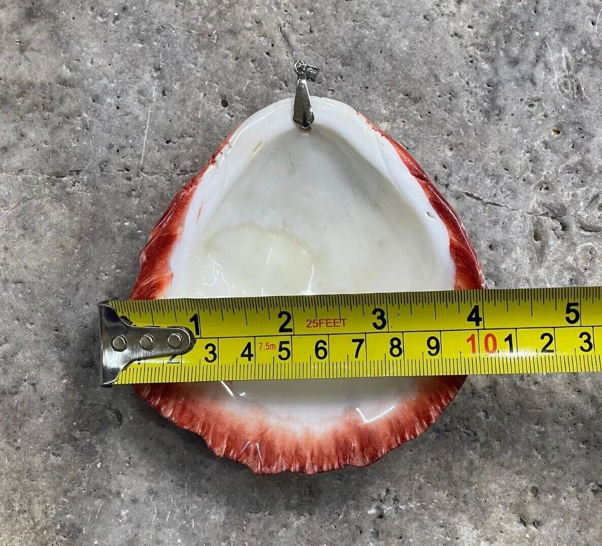 Spiny Oyster Shell, Druzy Large Pendant