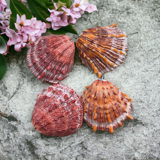 Spiny Oyster Shell, Druzy Large Pendant