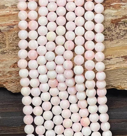 Queen Conch Shell A Grade Round 8mm