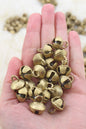 Nepali Jingle: Brass Bells with Clapper, Assorted Sizes, 5 pieces