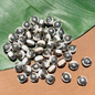 Conch & White Metal Coin Beads