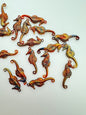 Seahorse 28mm Lustrous Gold
