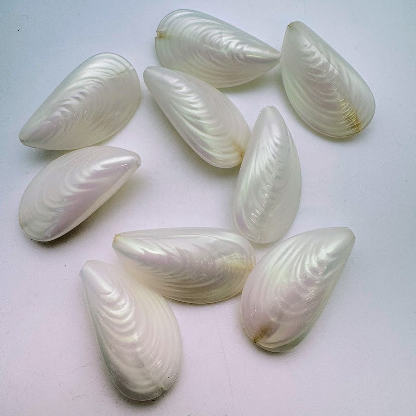 Oyster Shell 34mm White Pearl AB