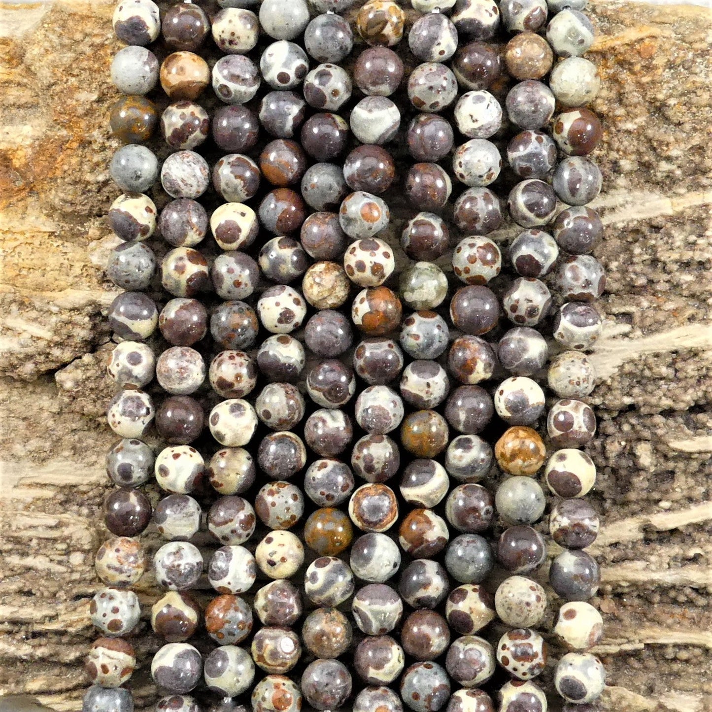 Orbicular Jasper Round