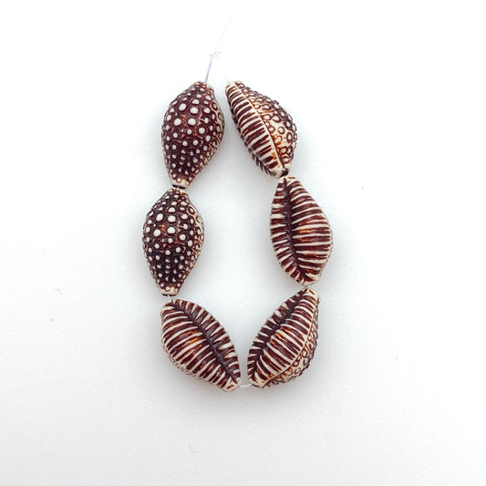Puka Shell 20mm Natural