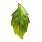 Leaves Pendant 2’5” Olive