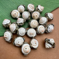 Shell Swirl & White Metal Beads
