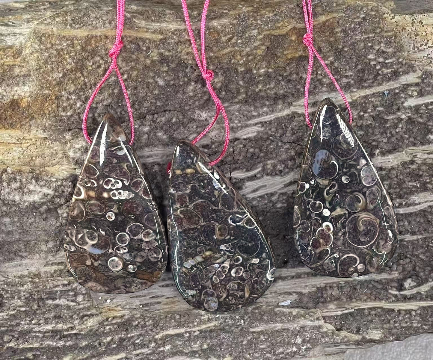 Turritella Fossil Agate, Teardrop Shape, Top Side Drilled, Pendant