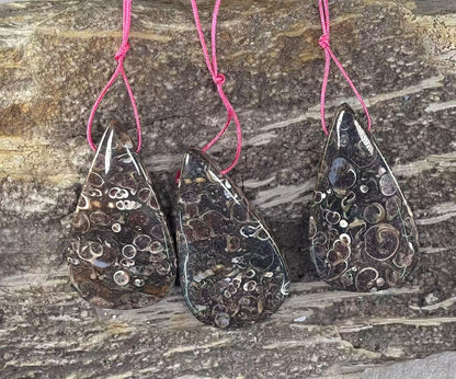 Turritella Fossil Agate, Teardrop Shape, Top Side Drilled, Pendant