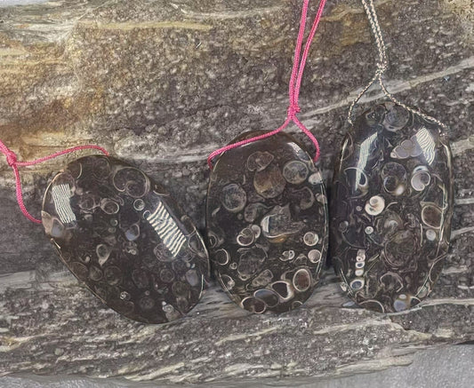 Turritella Fossil Agate, Oval Shape, Top Side Drilled, Pendant