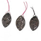 Turritella Fossil Agate, Marquise / Eye Shape, Top Side Drilled, Pendant