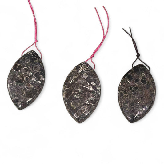 Turritella Fossil Agate, Marquise / Eye Shape, Top Side Drilled, Pendant