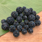 Midnight Blue Beaded Beads - Confetti