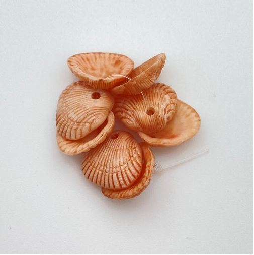 Clam Shell Drop 18mm Natural
