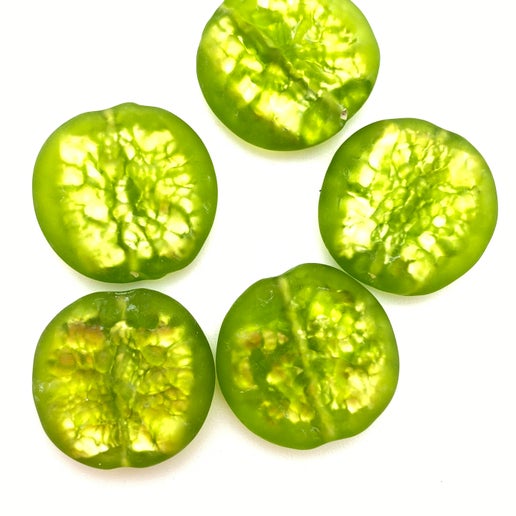 Baroque Flat 22mm Kiwi - YAYIN