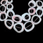 Queen Conch Shell Freeform Rings / Donut Shapes