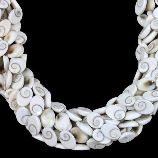 Shiva Shell, Pacific Cat's Eye Shell, Operculum, Gastropod, Oval