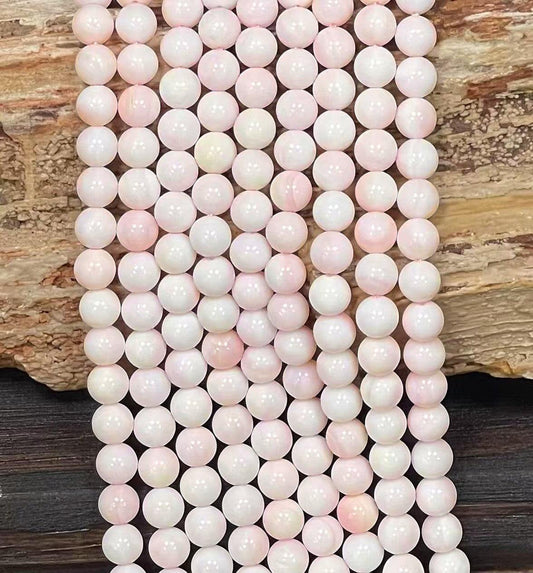 Queen Conch Shell A Grade Round 8mm