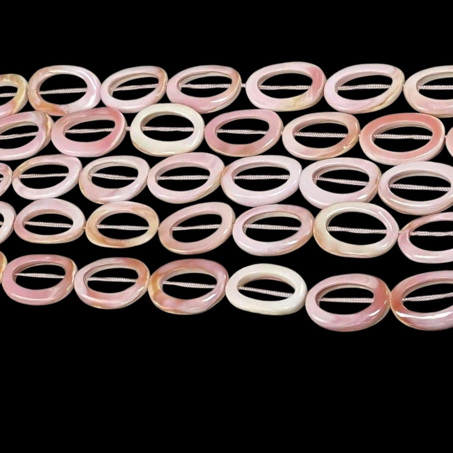 Queen Conch Shell, Oval Rings 20mmx30mm