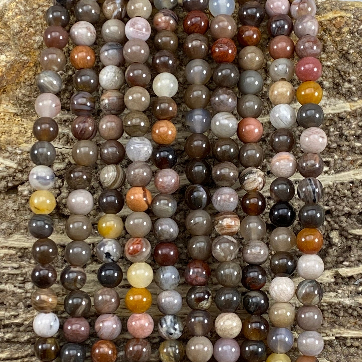 Petrified Wood (XinJiang,CN)Petrified Wood (XinJiang,CN)