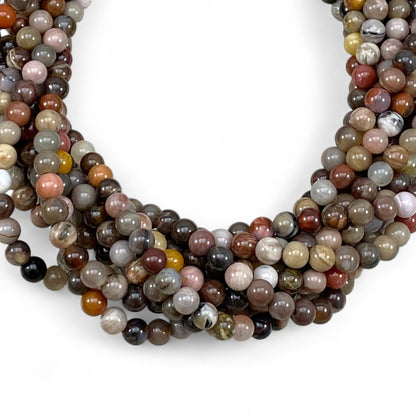 Petrified Wood (XinJiang,CN)Petrified Wood (XinJiang,CN)