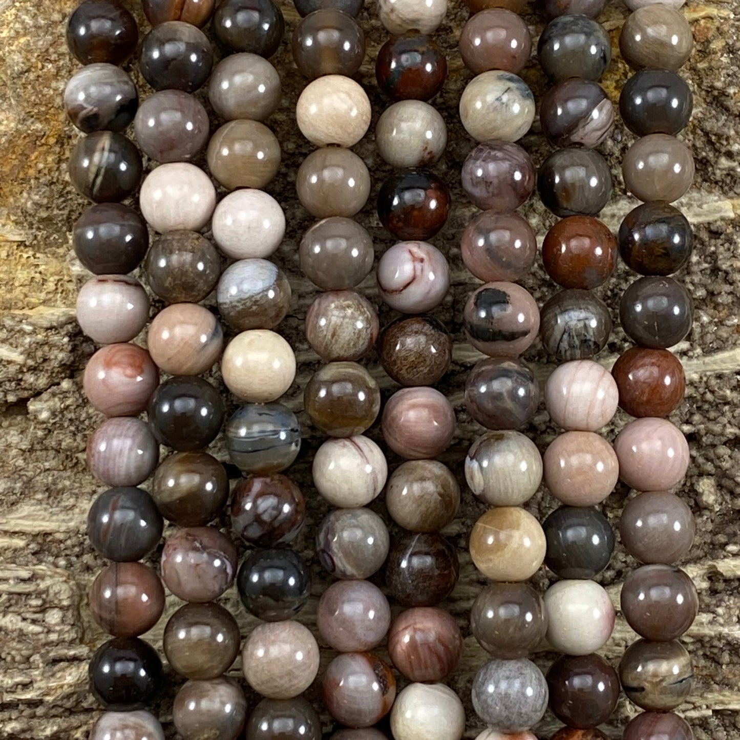 Petrified Wood (XinJiang,CN)Petrified Wood (XinJiang,CN)