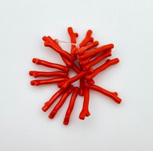 Coral Pieces 21mm Red Coral