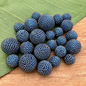 Winter Denim Beaded Beads - Solids
